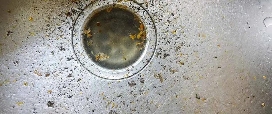 Top 6 Causes of Clogged Drains & Sinks