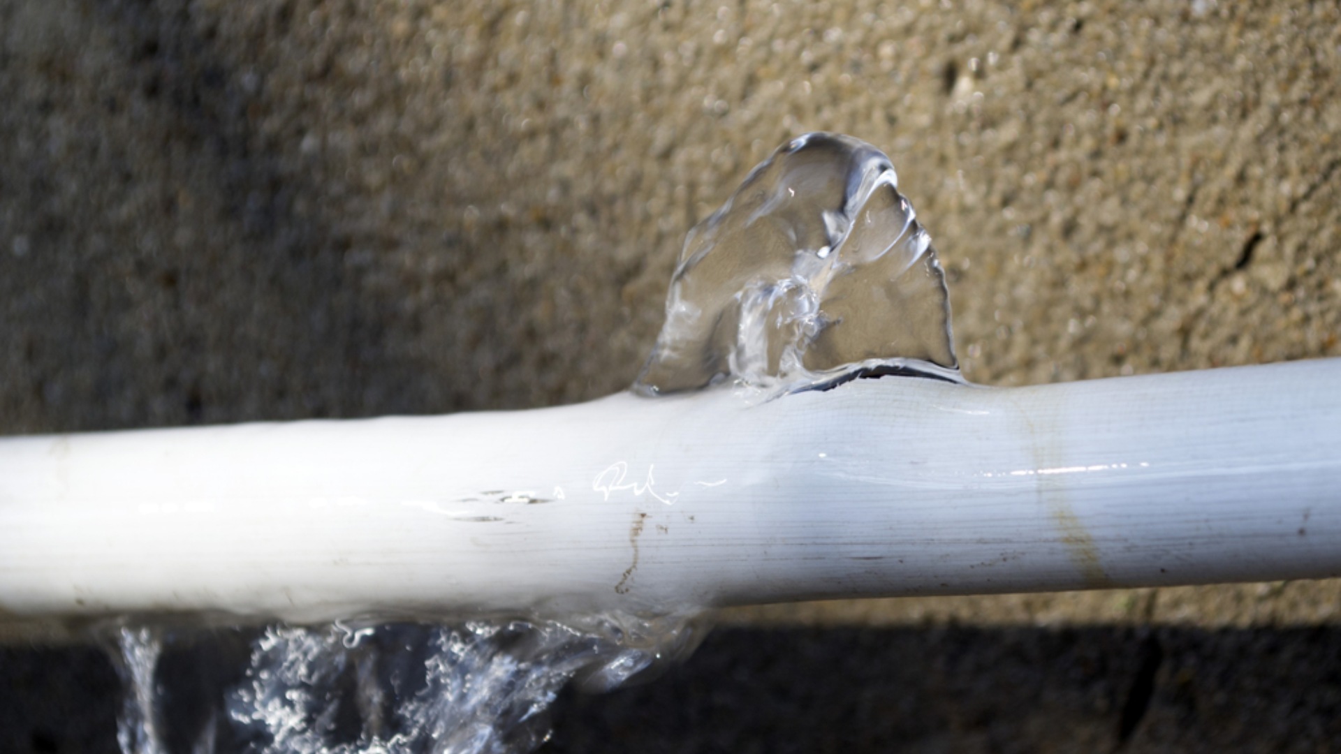 4 Signs There's a Leaky Pipe in Your Wall