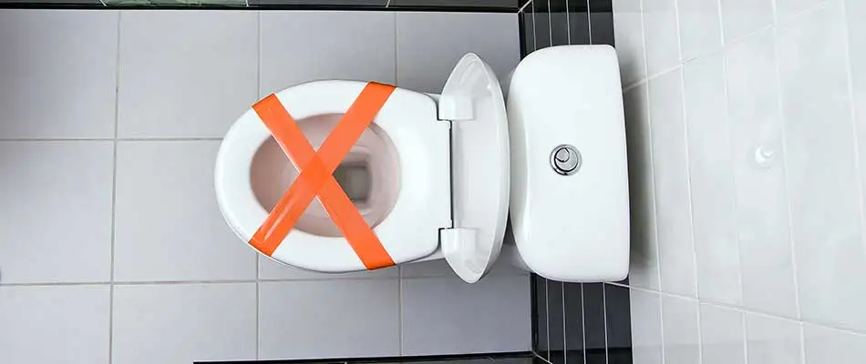 5 Items You Should Never Put Down the Drain