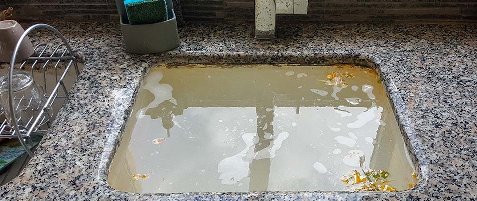 Clogged kitchen sink at a home in Bloomingdale, FL.